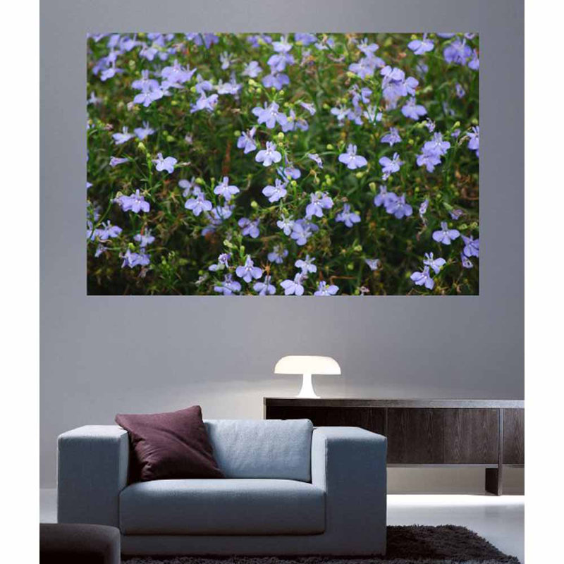 Plants & Flowers Non-Wall Damaging Wall Decal, 16" H x 24" W