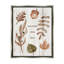 «Falling for You Fall Botanicals» par Lil 'Rue - Impression sur toile-1779198311-1779198309