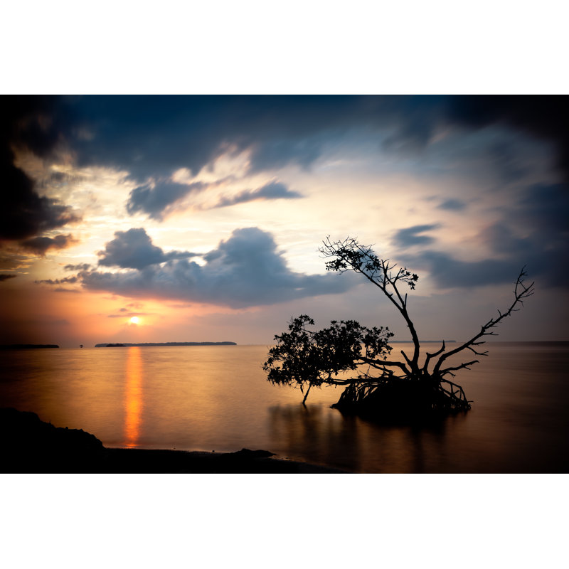 Parc national des Everglades par Lightkey, H 12 po x l 18 po