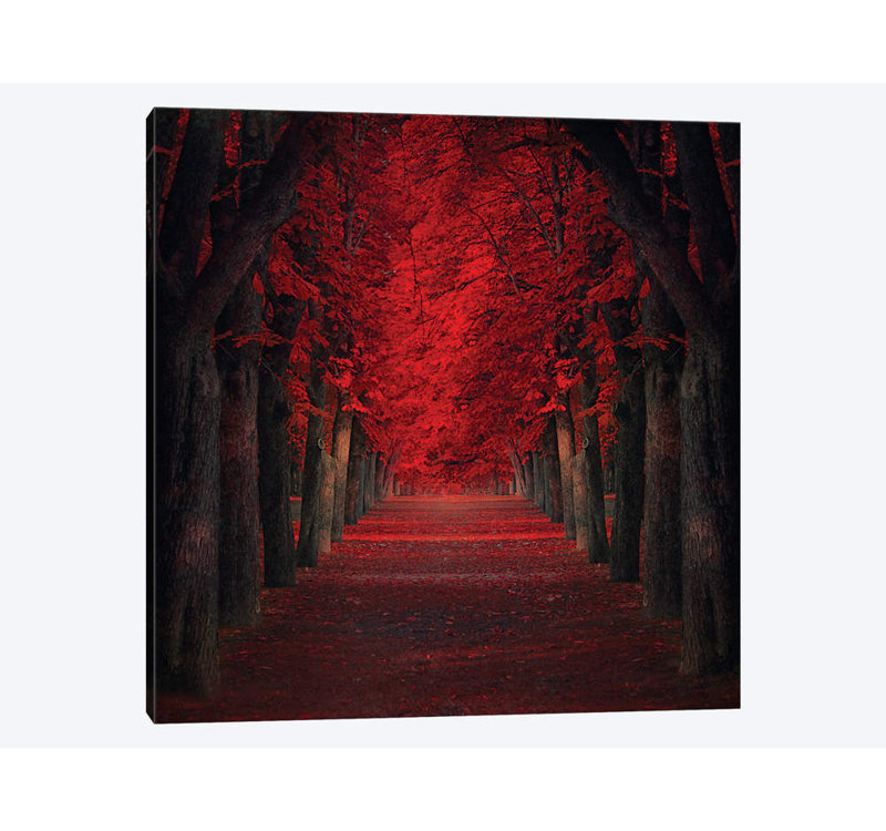 Ildiko Neer - Wrapped Canvas Print, 45.72 cm H x 45.72 cm W x 1.91 cm D
