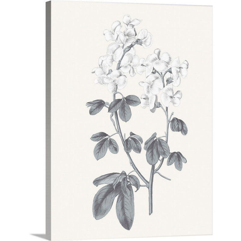 «Neutral Botanical III», art mural sur toile, Toile tendue, H 40 po x l 30 po x P 1 po