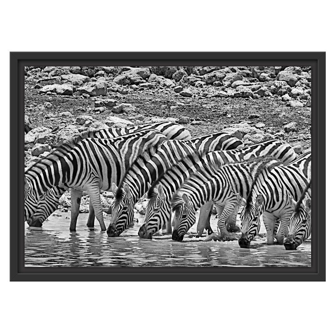 Gerahmtes Wandbild Zebraherde am Wasserloch