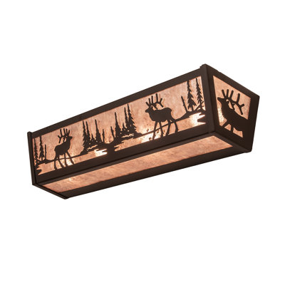 4 - Light Vanity Light