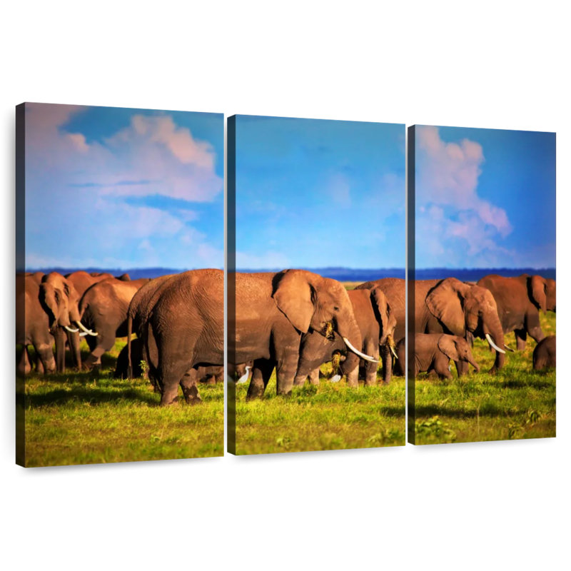Calm Morning Elephants, 20" H x 33" W