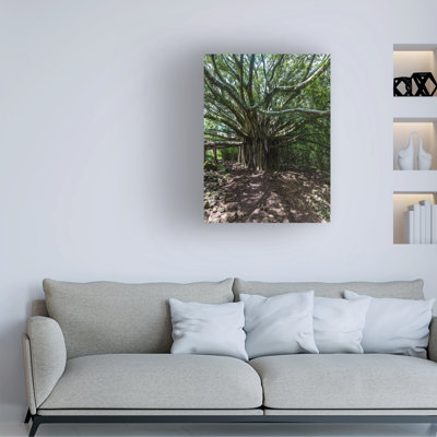 Wrapped Canvas Wall Art - Jon Evan 'Ancient Storyteller Color' Wall Art for Living Room, Bedroom, or Office Décor - 18x24