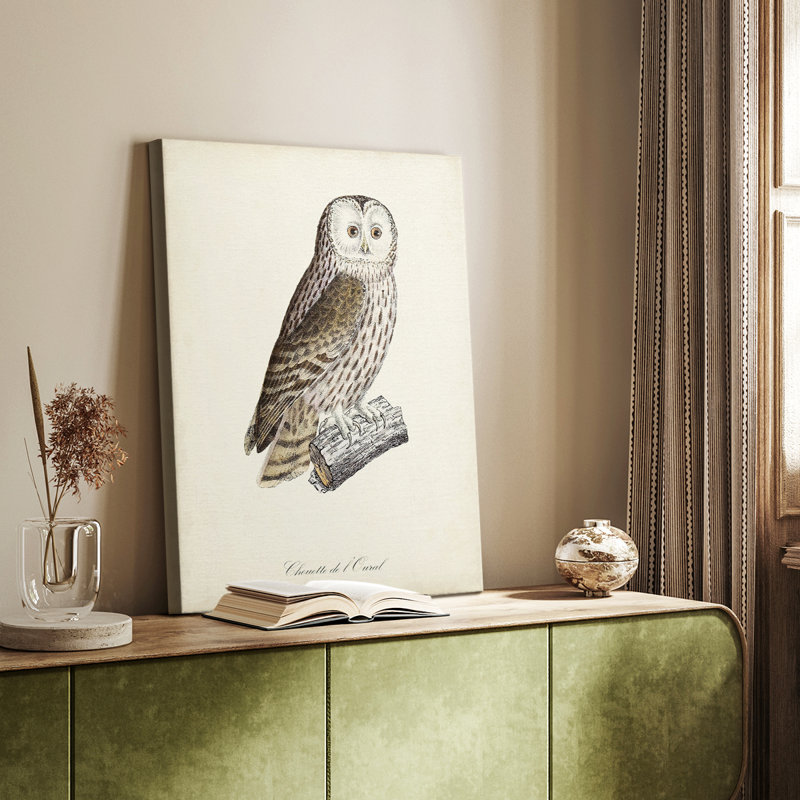 French Owls V - galerie sur mesure, H 18 po x l 12 po