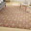Tapis intérieur / extérieur en cuivre Nourison Essentials-1389452904