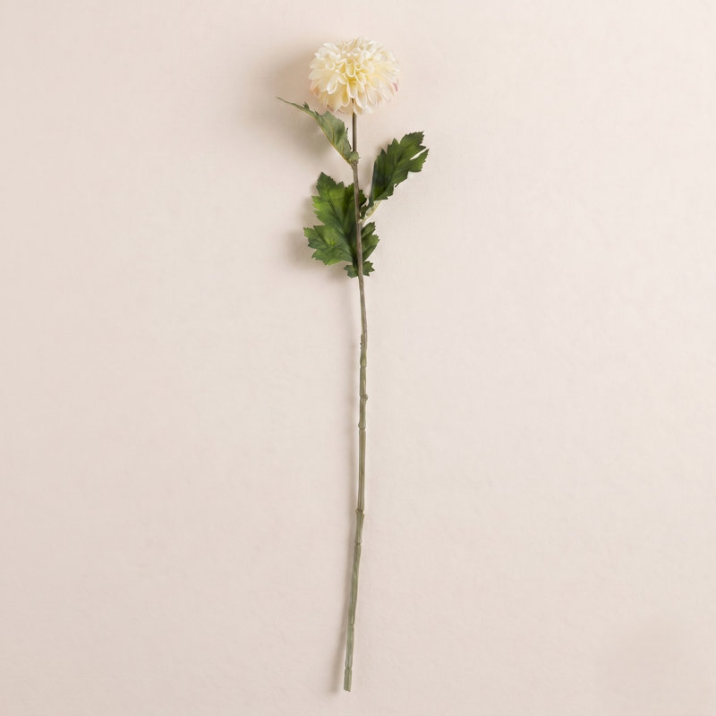 Ensemble de 12 tiges Dahlia, Crème, crème