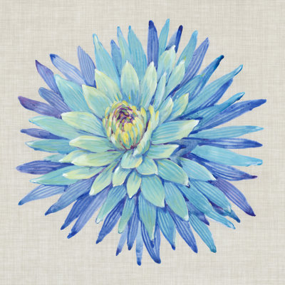 Floral Portrait On Linen I by Tim OToole - Wrapped Canvas Painting