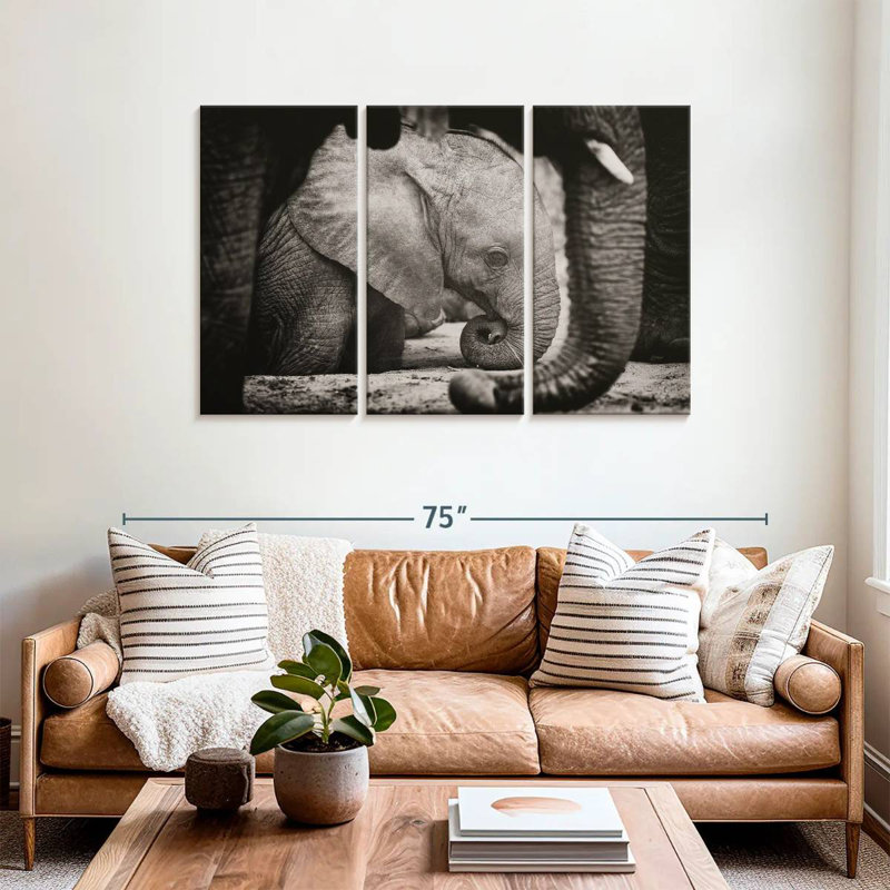 Napping Baby Elephant, 36" H x 57" W