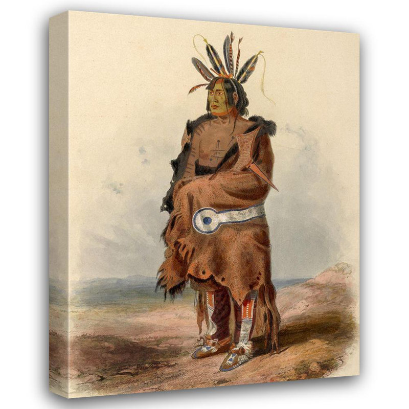«Union Rustic Bodmer, Karl», reproduction d'art sur toile tendue: An Arrikara Indian Warrior, H 47 po x l 36 po