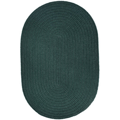 Smyth Hand Braided Synthetic Indoor / Outdoor Rug