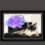 « couture kitty », reproduction encadrée-23720450