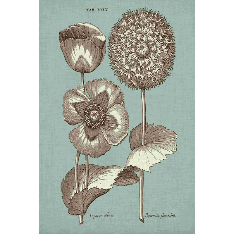 Chambray Chintz III, H 18 po x l 12 po