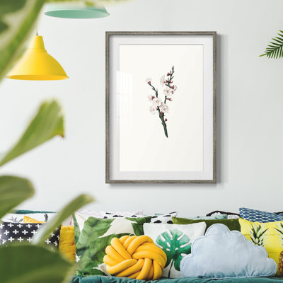 Vintage Floral Print CLXXXIV -Framed Print