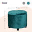 Premium Stool with Storage-94490666