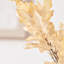 Dried Flower Bunch-119034009-119034008