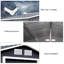 Brazzeal 6.2 Ft X 9 Ft  Metal Saltbox Tool Shed