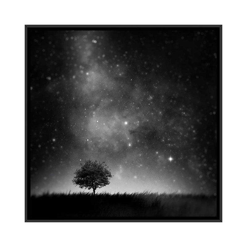 « not so seulement », reproduction de photo sur toile, H 18 po x l 18 po x P 1,5 po, Toile avec cadre noir, Pas de tapis