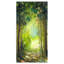 «Pathway in Summer Forest», reproduction sur toile tendue-29503320