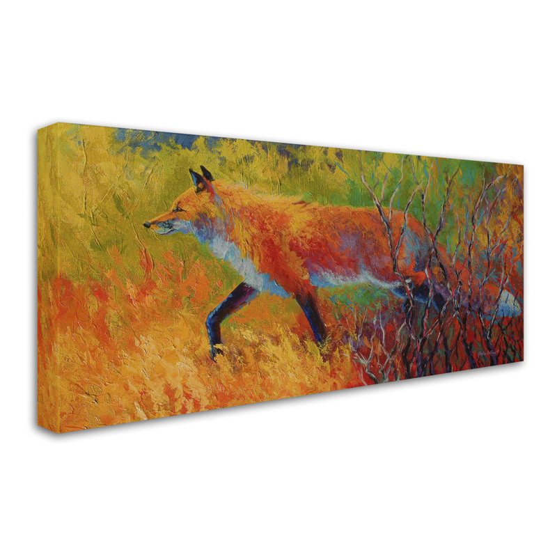 «Kucera Red Fox 1», reproduction sur toile tendue, H 10 po x l 19 po