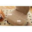 Chaises d'appoint confortables, pieds modernes en bois doux pour la maison