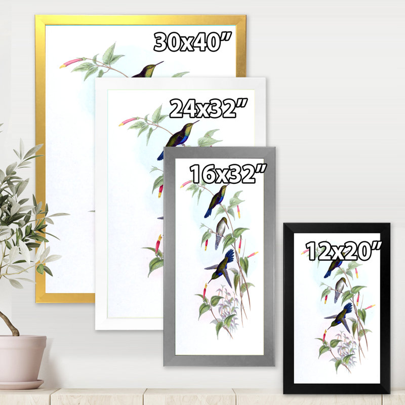 " Vintage Hummingbird I " Painting Print, White Picture Frame, 32" H x 24" W x 1" D