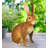 Bunny Decor 14"