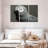 African Grey Parrot-107966007