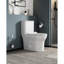 Une toilette en céramique allongée de 1,1 / 1,6 po, blanche, confortable et tendance