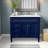 Rivers 40" Single Bathroom Vanity-1788234608