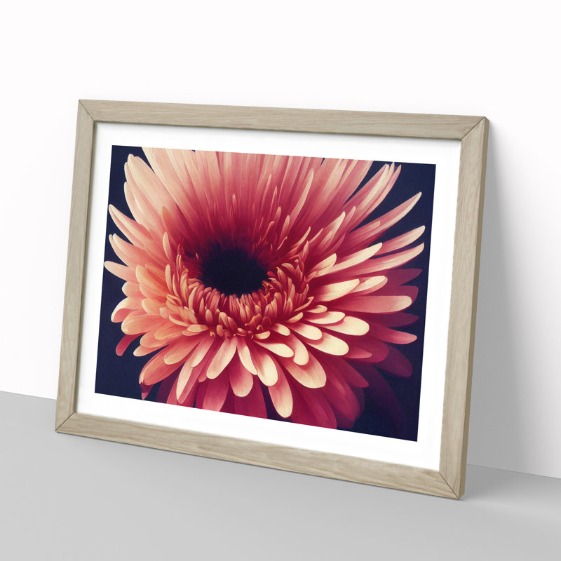 Inspiring Chrysanthemum Flower - Framed Print, 46cm H x 64cm W x 2cm D, Oak
