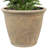 Blough 24" x 24" x 20" Round Polyresin Outdoor Planter Pot - Beige-1825258587-1630842323-1821674389