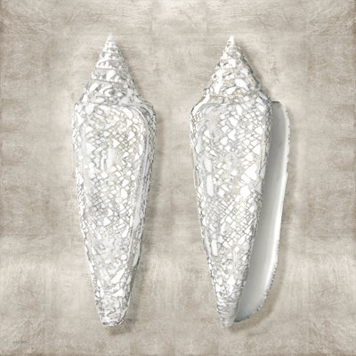 Pewter Seashells II by Amber Sterling