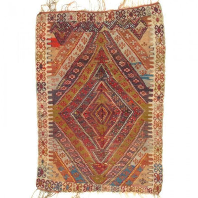 Breneshia Hand Woven Cotton and Wool Oriental Area Rug