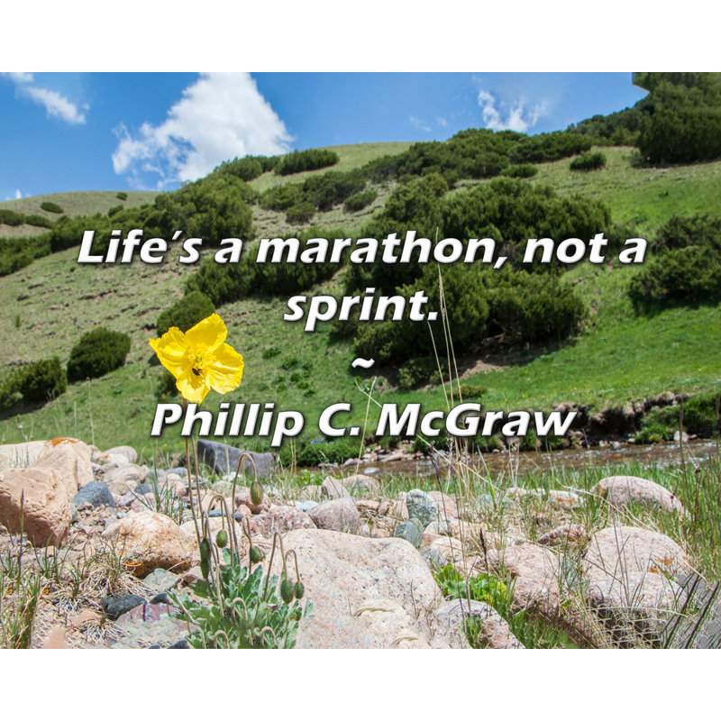 Phillip C. McGraw Citation: Life's a marathon, not a sprint., H 15 po x l 18 po