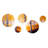 Landscape & Nature Wall Decor on Metal