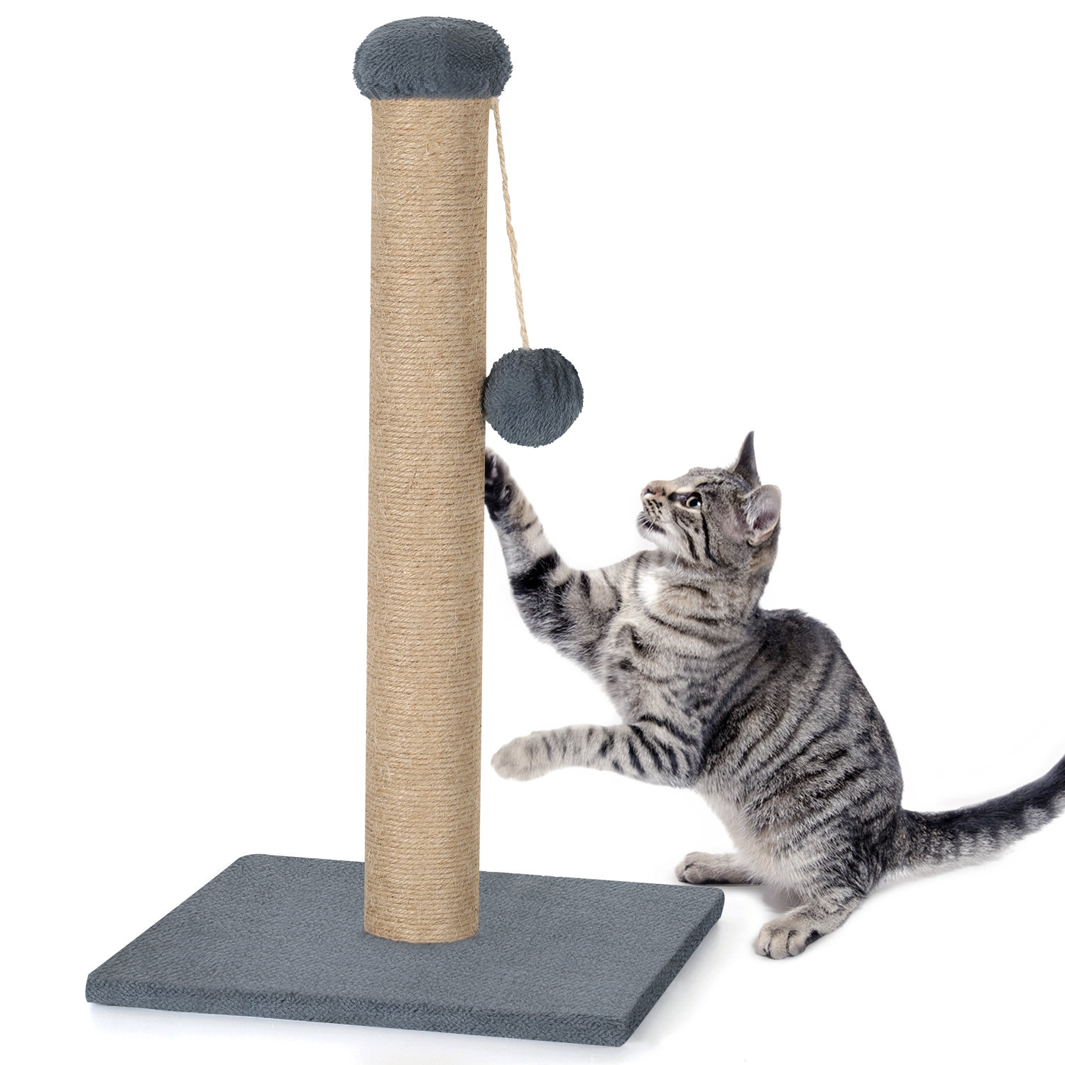 Tucker Murphy Pet™ Calianne Scratching Post | Wayfair