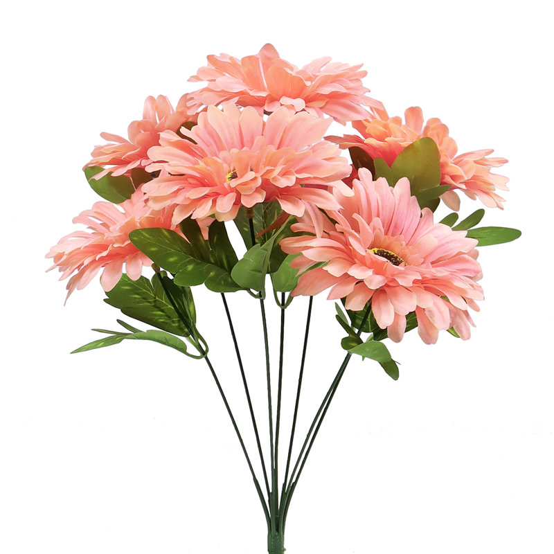 Gerbera Daisy Bushes, Pêche