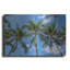 «Palawan Palm Trees I» par Richard Silver, art mural en métal-121128544