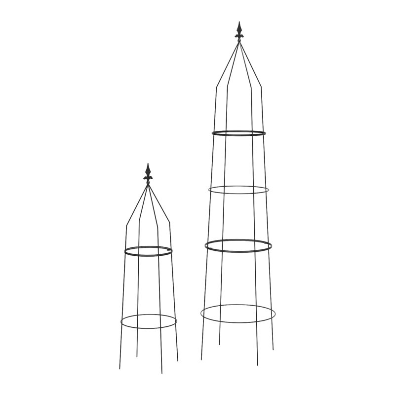Ardiana Metal Plant Support, Black, 195cm H x 48cm W x 48cm D, 2