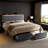 Upholstered Queen Bed with 2 Storage Drawers,Velvet Storage Bed with LED Light and Charging Station,No Spring Boxing Needed-1263112594-1263112596