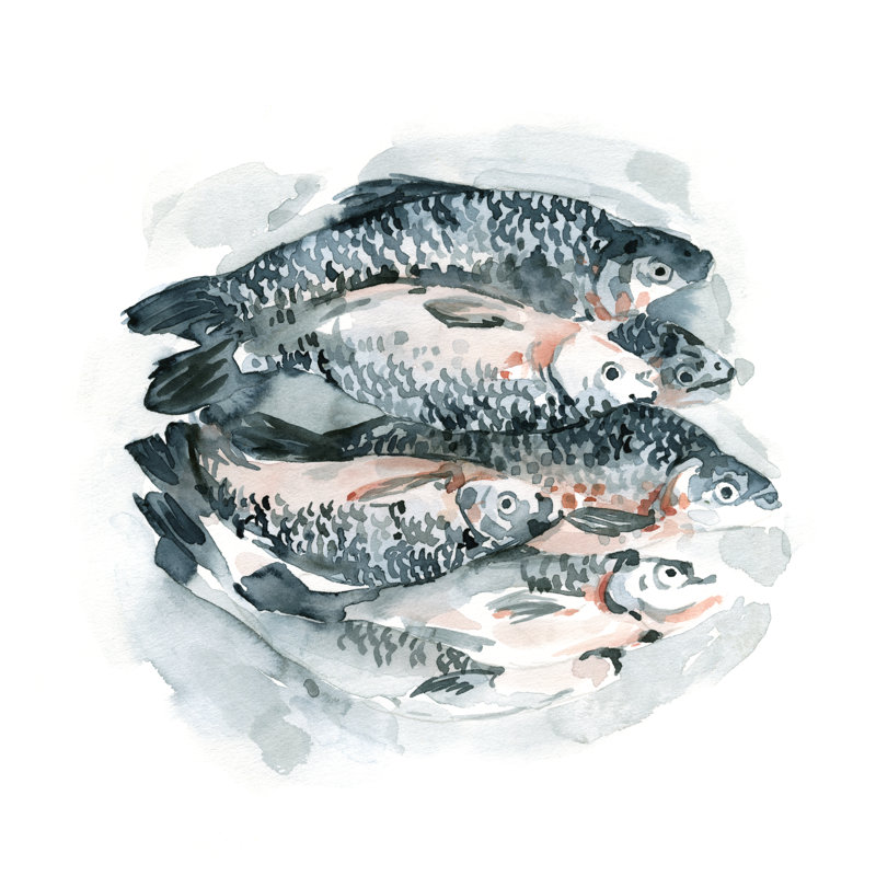 Fish For Dinner I by Emma Caroline - Wrapped Canvas Painting, 51cm H x 51cm W x 3.8cm D