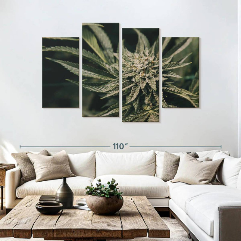 Plante de marijuana Senne, H 54 po x l 84 po