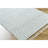 Bhaktivinod Hand Woven Area Rug-9084504