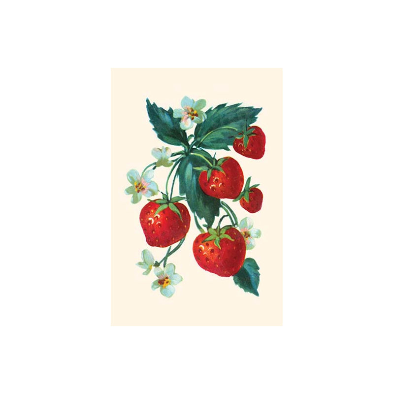 " Five Strawberries And Flowers ", 42" H x 28" W x 1.5" D