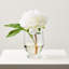 Peony Faux Floral Arrangement in Vase