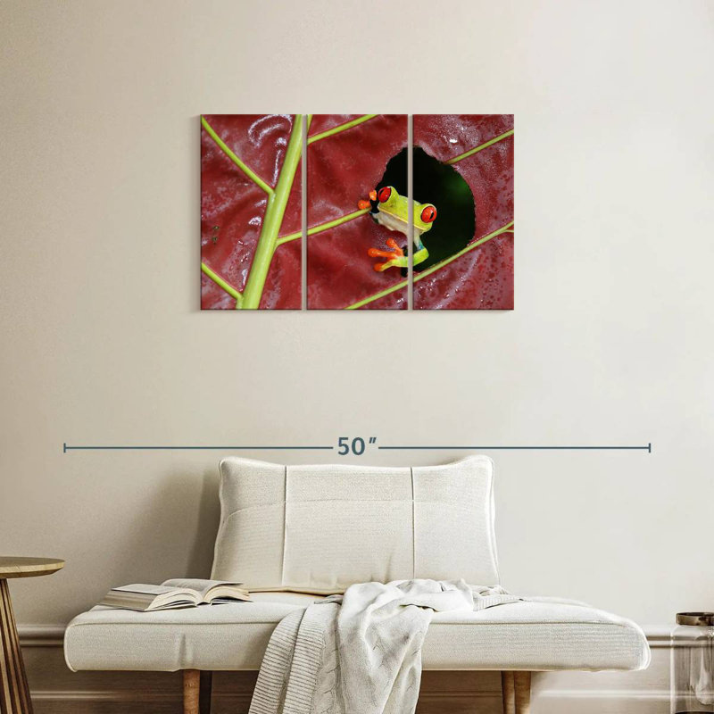 Brampt Wild Red Eyed Tree Frog, 20" H x 33" W