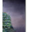 Vidur «Peacock 11», impression sur toile tendue-22073258