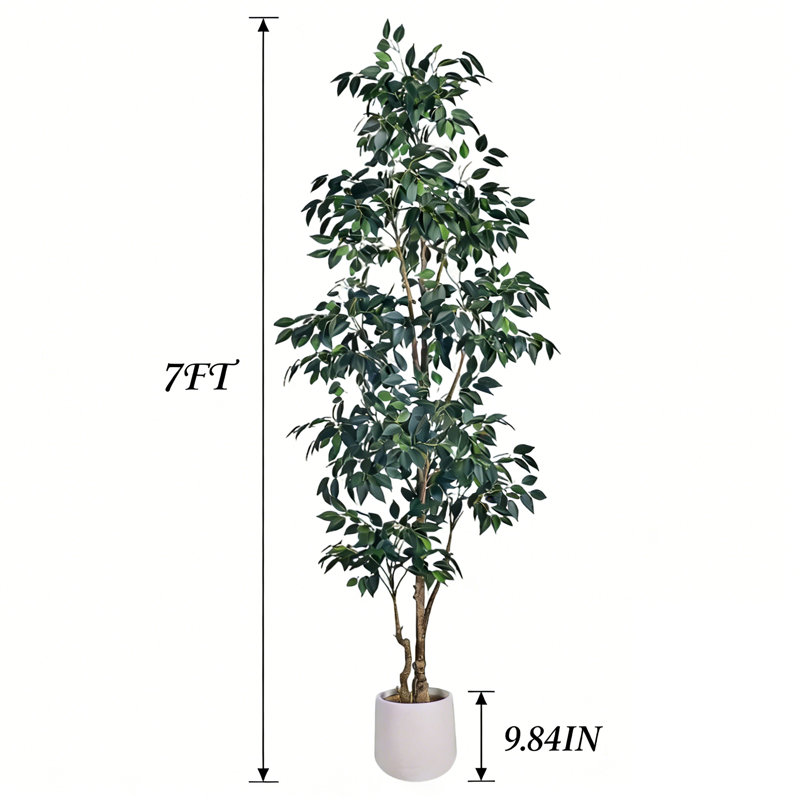 Faux Ficus Tree in Pot, 213.4 cm x 24.9 cm